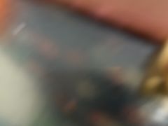 -甘家界牌柠檬鸭(青山店)