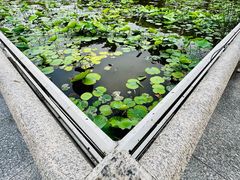 -济南大明湖景区