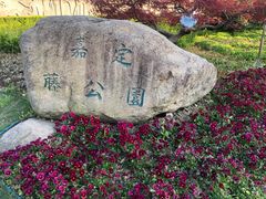 -嘉定紫藤园