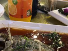 -云中小雅