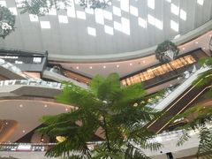 -KKV(重庆光环购物公园店)