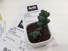 -艾薯夫妇Aysh(福田星河COCOPark店)