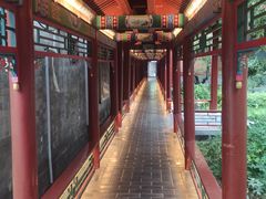 -有喜胶东小馆(太申祥和店)