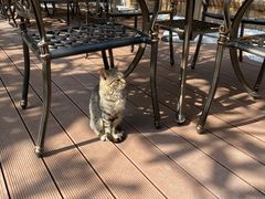 -马勒别墅·中餐厅