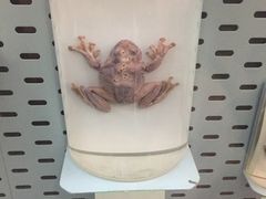 -中国湿地博物馆