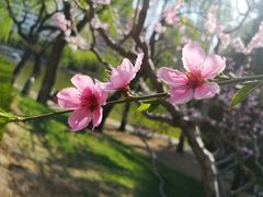 -团结湖公园