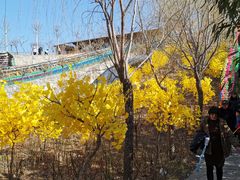 -沂蒙云瀑洞天景区