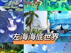 -左海海底世界