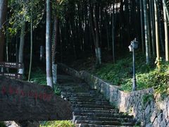 -莫干山风景区