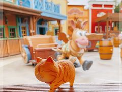 -上海迪士尼度假区