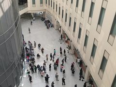 -首都医科大学附属北京天坛医院