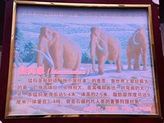 -陕西自然博物馆