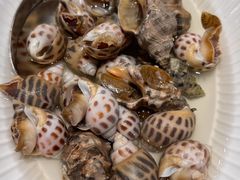 -高佳庄·舟山海鲜(海景旗舰店)