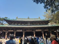 -晋祠公园