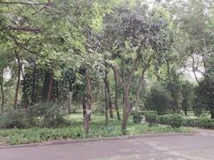 -方庄体育公园
