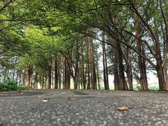 -阳澄湖半岛旅游度假区