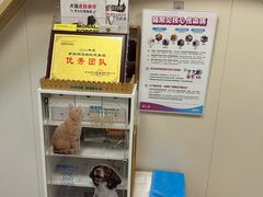 -美联众合爱康动物医院•复杂内科•肿瘤科•牙科•腔镜诊疗中心