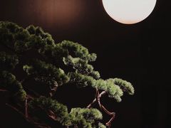 景观位-广州花园酒店·庭·日本餐厅