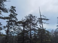 -玉龙雪山游客服务中心