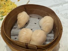 -四点金饭店(将军澳店)