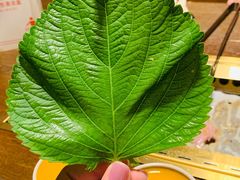 -新石器烤肉(中房金谊广场店)