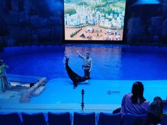 -芜湖新华联大白鲸海洋公园