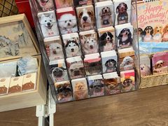 -和它·交个朋友·狗咖猫咖(爱琴海店)