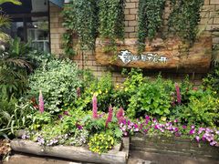 -春暖花开(西溪店)
