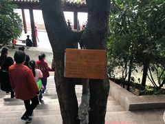 -丹江大观苑