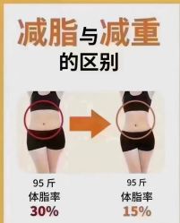 -香薇妮丝·定制减肥·身材管理