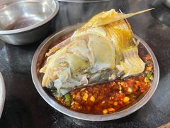 -老杨砂锅鱼庄