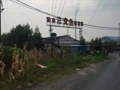 -东江湖游水三文鱼美食城