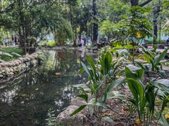 -成都市活水公园