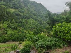 -东白山