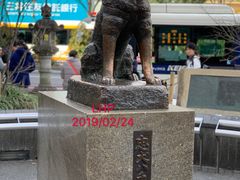 -涩谷区