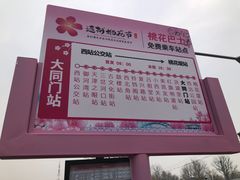 -桃花堤公园