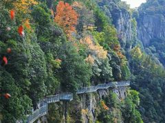 -四明山国家森林公园