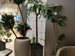 -THE WOODS 简餐 (国贸商城店)