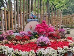 -上海醉白池公园