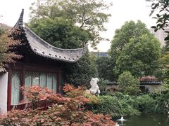 -紫荆山公园
