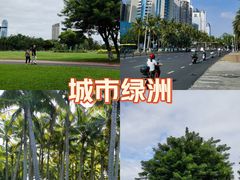 -万绿园