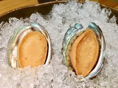 旨煮冰鲍-花潮料理艺食馆(世欧广场店)