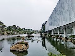 -罗红摄影艺术馆