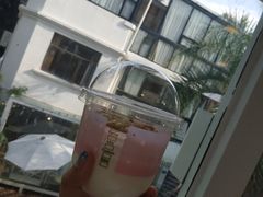 -有猫主题·治愈系猫咖(曾厝垵店)