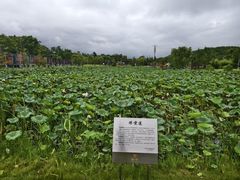 -上海怡沁园度假酒店