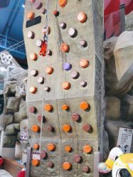 -卡通尼·Safari非洲探索乐园·生日会(金桥国际商业广场店)