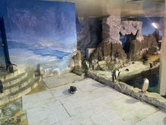 -成都浩海立方海洋公园