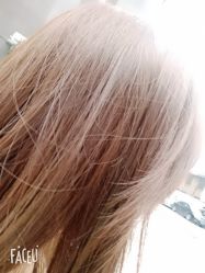 -E.L.K造型momopark店