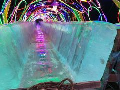 -沈阳奥体冰雪嘉年华
