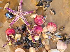 -日照灯塔风景区